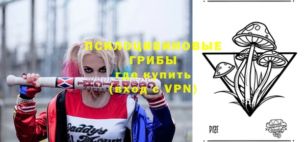 мет Бердск