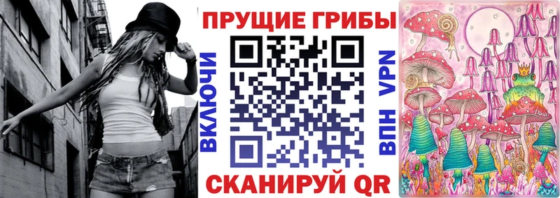 KRAKEN   Оса  Псилоцибиновые грибы Cubensis 